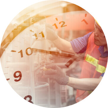 Chengwu Wansheng Agricultural Science and Technology Development Co., LTD